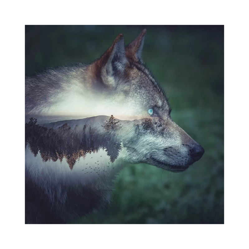Wolf 1 Piece Wall Art on Canvas, 30.48 cm H x 30.48 cm W, Wrapped Canvas