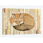 « fox collage iii », impression sur toile tendue-29176244-72782618-72782619