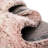 Indoor Rug-71186218