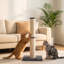 80 cm H Cat Scratchers