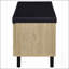 Banc de rangement 2 portes-214001067