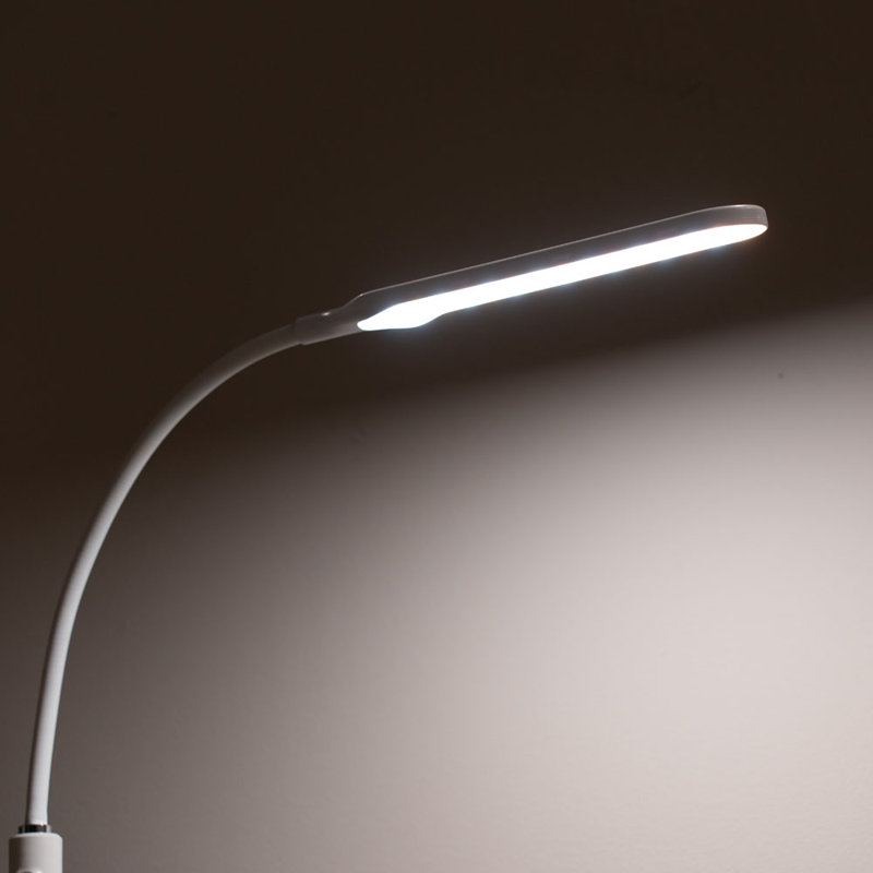 Chaze 19.35cm Powder Coated LED Arched Floor Lamp