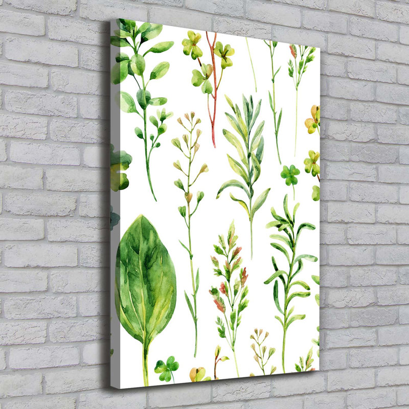 Weeds And Herbs - Wrapped Canvas Print