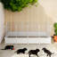 Plastic Collapsible Soft-Sided Crate