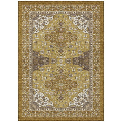 Machine Washable Indoor/Outdoor Chantille ACN2854 Global Rug