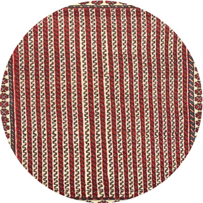 Chladek Oriental Indoor Rug