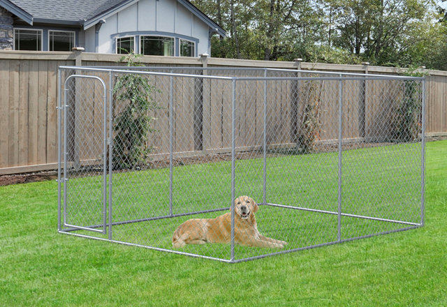 Outdoor Dog Kennels They'll Love