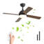 Ceiling Fan with LED Lights