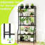 Plant Stand