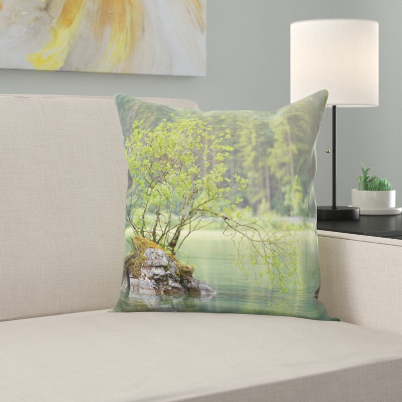 Coussin eau