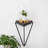 Triangle Spruce Solid Wood Accent Shelf