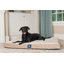 Lit matelassé pour animaux Serta-31319158-31319160