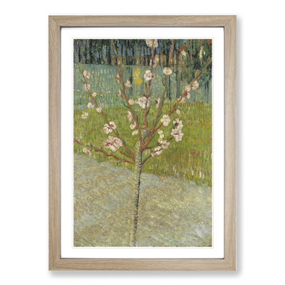 Peach Tree in Blossom by Vincent Van Gogh - Picture Frame Painting on MDF