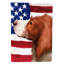 Polyester à 2 côtés 15 x 11 po drapeau de jardin-2042781195