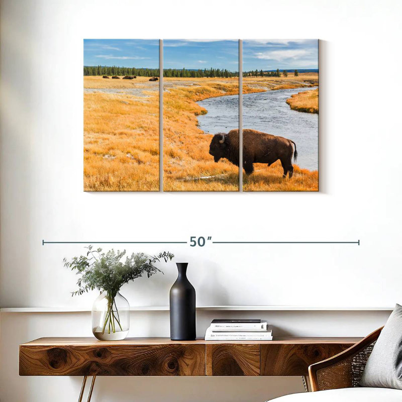 Brampt National Park Bison, 24" H x 38" W