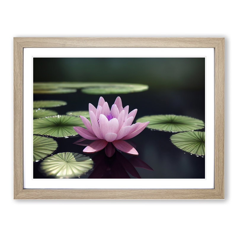 Expressive Water Lily Flower 1 Piece Single Picture Frame Wall Art, 46cm H x 64cm W x 2cm D, Oak