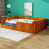Pumpkin Orange est en rupture de stock