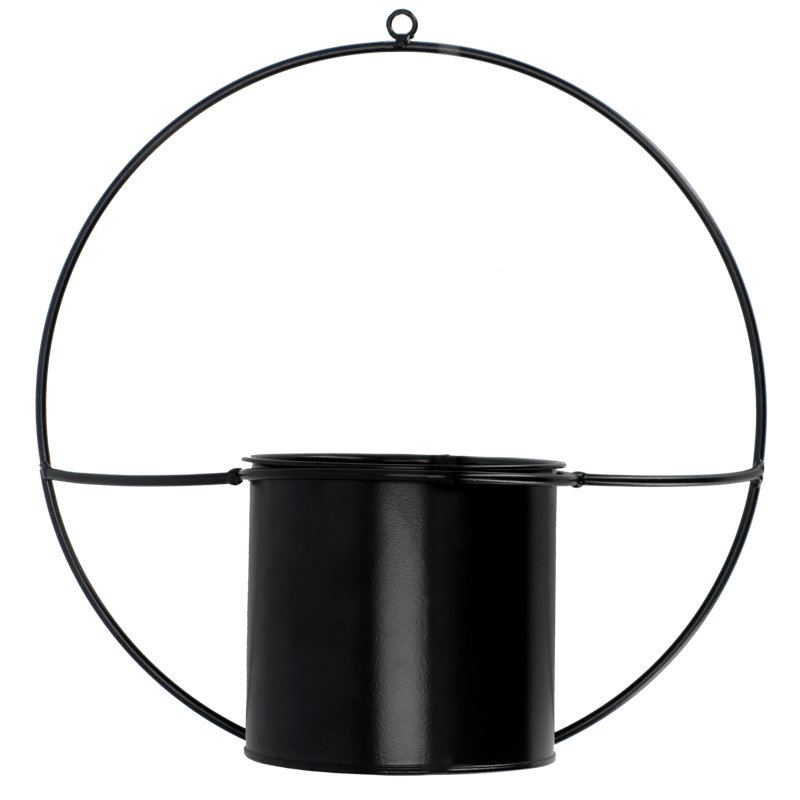Carolynn Metal Wall Planter
