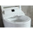RunFine Group 1.28 GPF Elongated Comfort Height Chair Height Floor Mounted Bidet Toilet with Seat Included