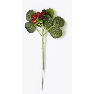 Berry Arrangement