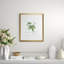 Antique White Maple Print by Linden