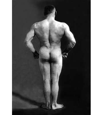 " Bodybuilder "