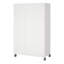Mathian 1 Door Manufactured Wood Wardrobe-2033668342