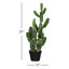 Cactus vert en pot 31 po