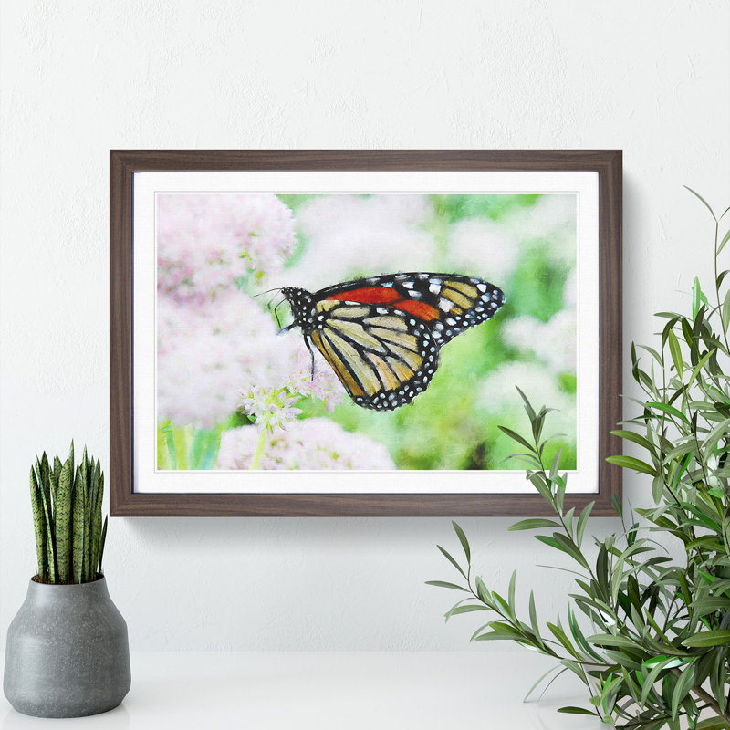 Monarch Butterfly - Picture Frame Graphic Art, 48cm H x 65cm W x 2cm D, Walnut