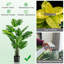 Ensemble de 2 arbres artificiels en pot 5 po