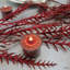 Bougies chauffe-plat Elyon-1122948144