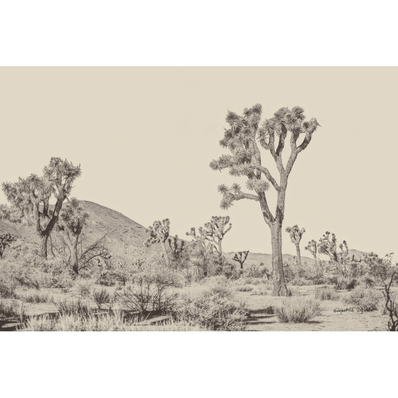 Joshua Tree II Neutral 1 Piece Wrapped Canvas Painting, 61cm H x 91cm W