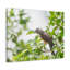 No Frame Print on Canvas-864008998