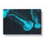 Neon Blue Jellyfish - Wrapped Canvas-56628805
