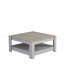 Albertjames Coffee Table with Storage-1587271917