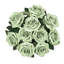 Grand rosier Jaafer Deluxe-875577198