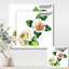 Fleurs de camélia blanc rétro avec feuilles vertes - peinture sur toile-59724979-59781051