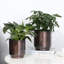 Handmade Pot Planter-589932626