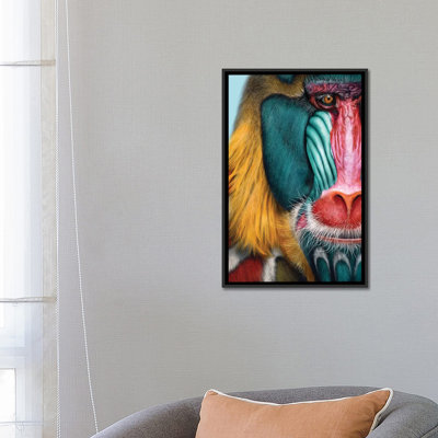 " Mandrill " by Giulio Rossi