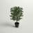 48'' Faux Tree in Wicker/Rattan Basket