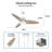 Donnabell 52'' Ceiling Fan with LED Lights-1160867647-1160867634