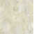Gris / Brun