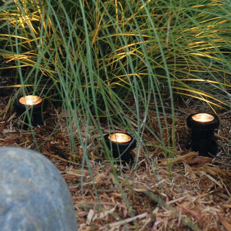 Black Low Voltage LED Pond and Landscape Light Set