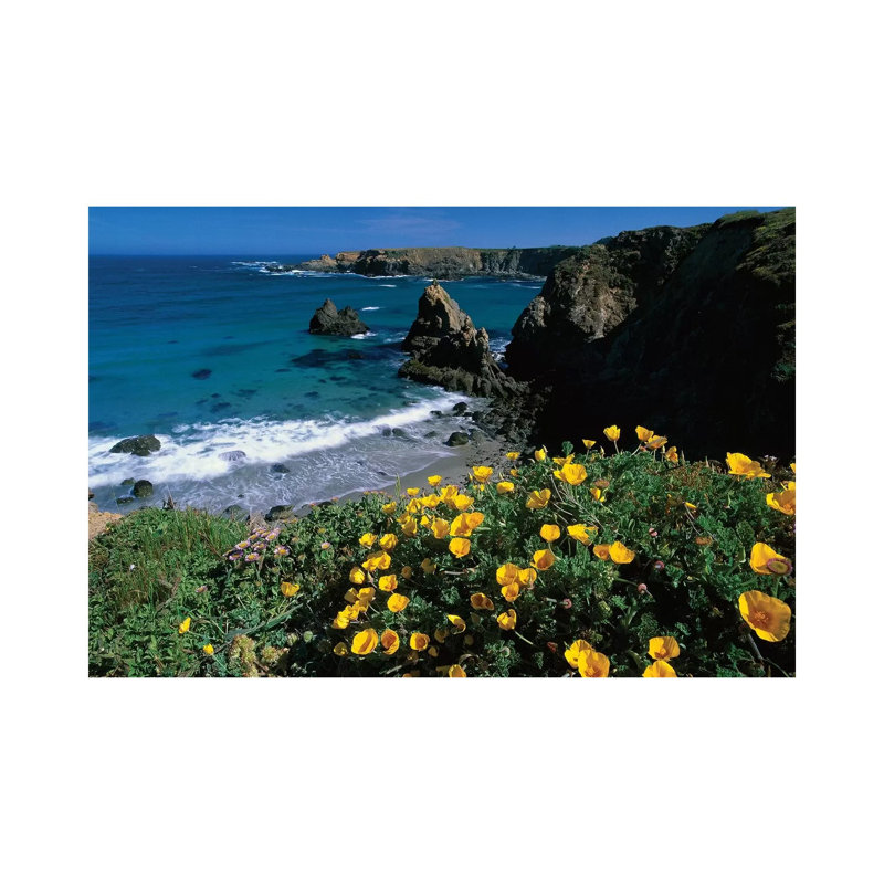 California Poppy Cluster Growing On Coastal Cliff, Jughandle State Reserve, Mendocino County, California by Tim Fitzharris - Wrapped Canvas Print