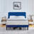 Queen Platform Bed Frame with Velvet Upholstered Headboard and Wooden Slats Support, Mattress Foundation/No Box Spring Needed-950660877-950660878