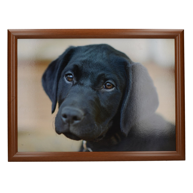 Animals Wood Tray
