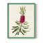 «Pretty Pink Botanicals VII», reproduction encadrée - bois massif-1439883291-1439883293