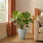 Pot à fleurs rond Vinisha ECOBO EcoFriendly-928914534-928914535