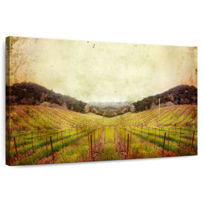 Alvord Napa Vineyard Landscape