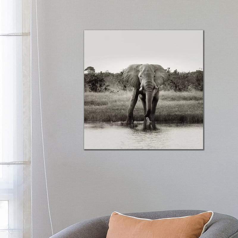 B And W Elephant Drinking by Klaus Tiedge - Wrapped Canvas Print, 66.04 cm H x 66.04 cm W x 1.91 cm D
